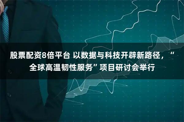 股票配资8倍平台 以数据与科技开辟新路径，“全球高温韧性服务”项目研讨会举行